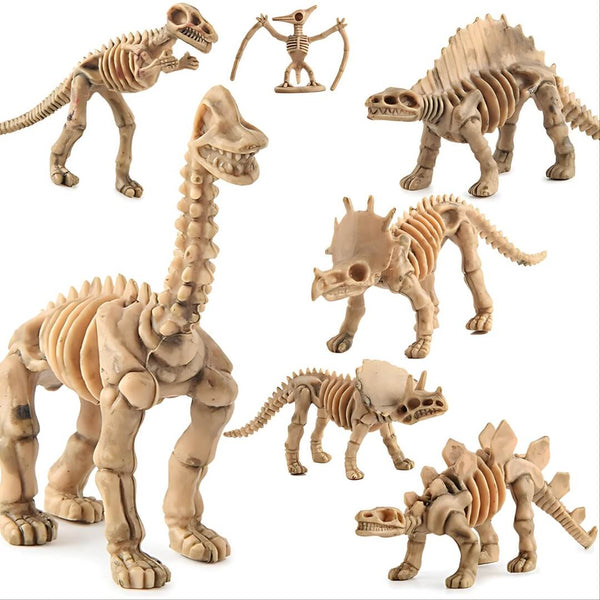 Children's Dino Fossil and Activity Book!