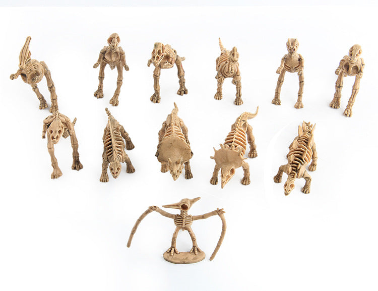 Children's Dino Fossil and Activity Book!