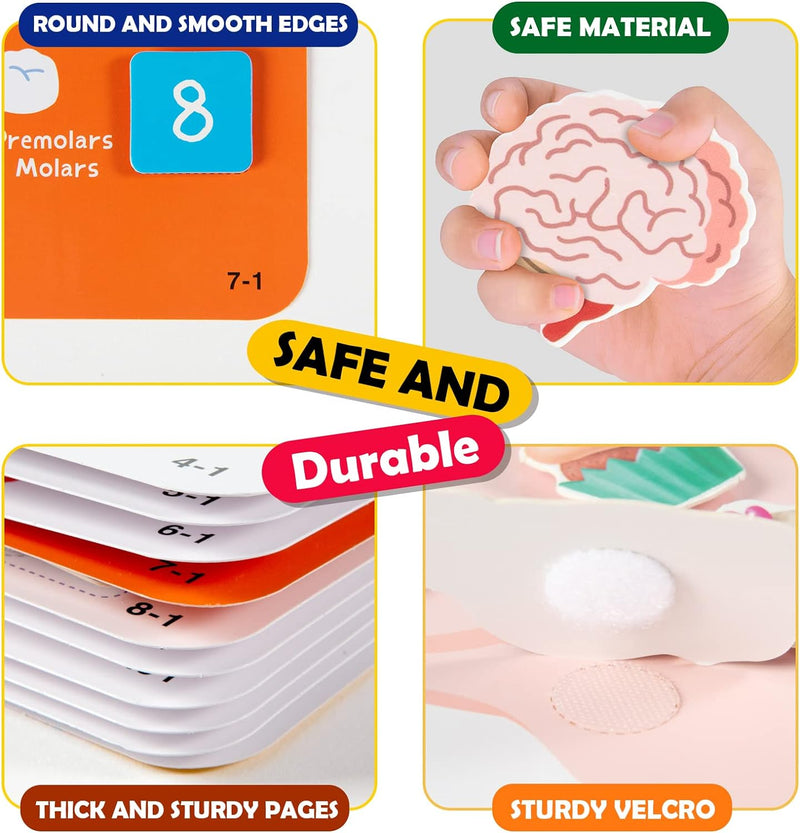 Montessori Human Body Busy Book