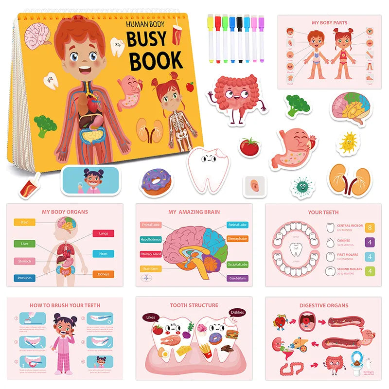 Montessori Human Body Busy Book